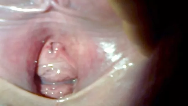 猫とピンクのセックスと滑りに自宅で, ムータン エロ