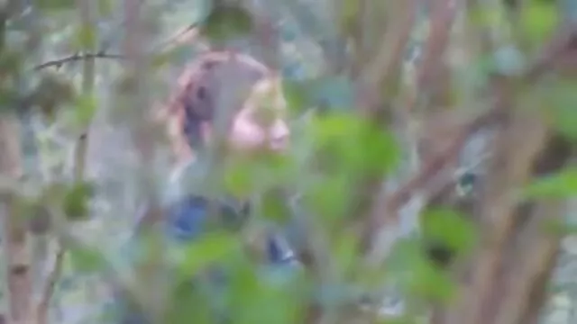 私の母は寝室で彼女の息子を見つけました 女性 の ため の エッチ 動画