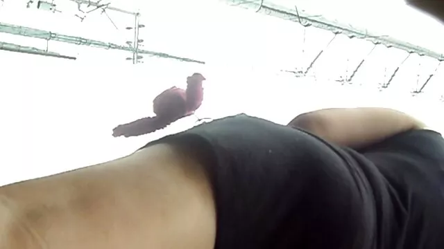 テーブルの上にセックス エロ アニメ 動画 女性 向け