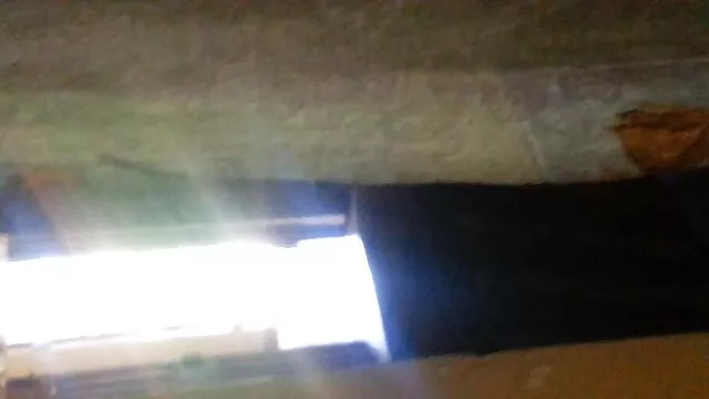 ポルノビデオ若い裸の女の子 女性 専用 無料 h